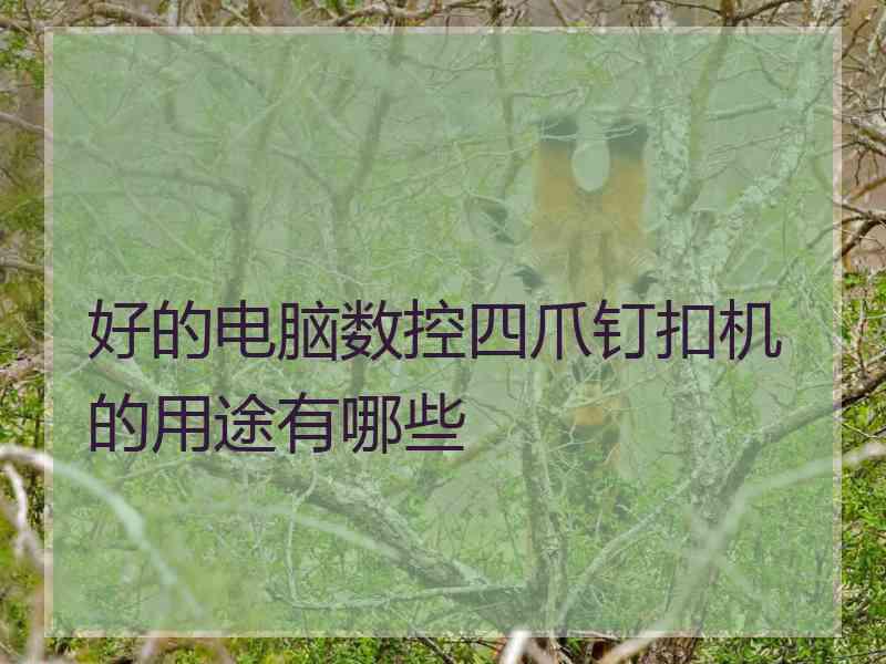 好的电脑数控四爪钉扣机的用途有哪些