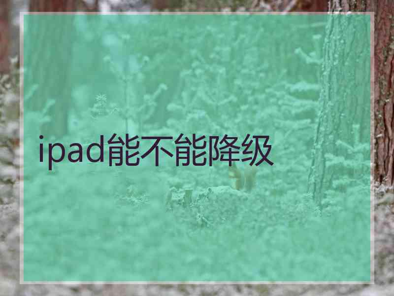 ipad能不能降级