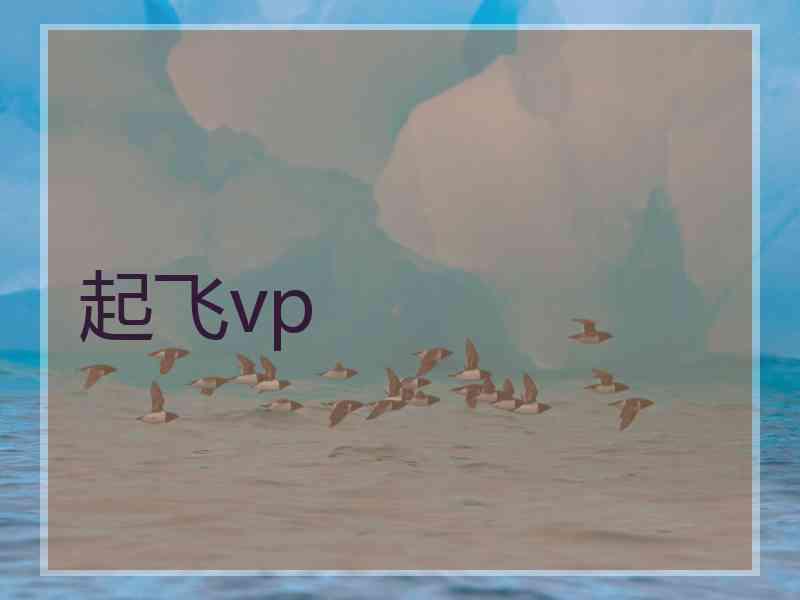 起飞vp