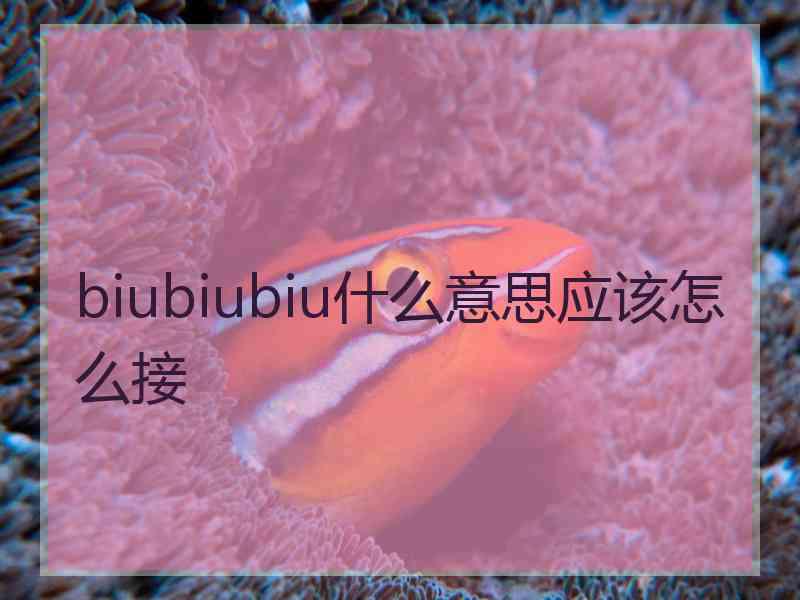 biubiubiu什么意思应该怎么接