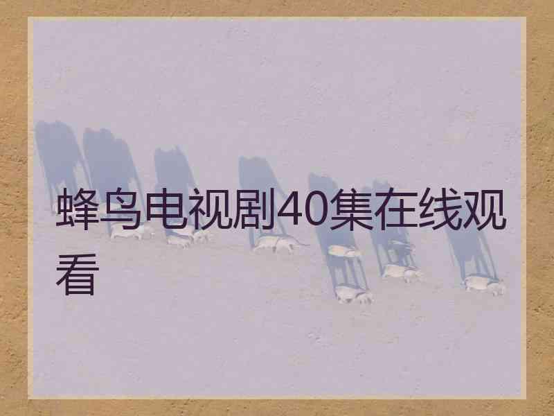 蜂鸟电视剧40集在线观看