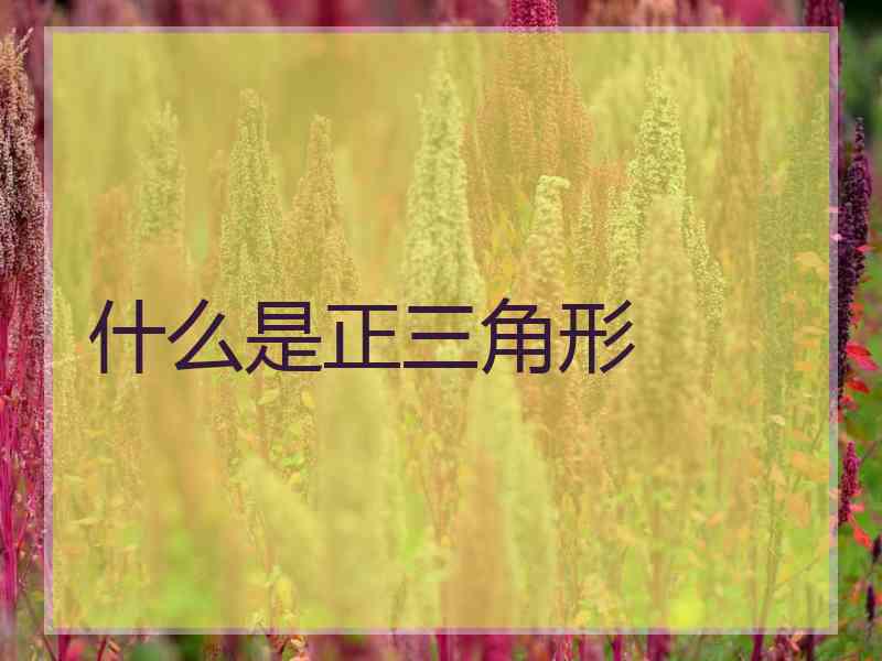 什么是正三角形