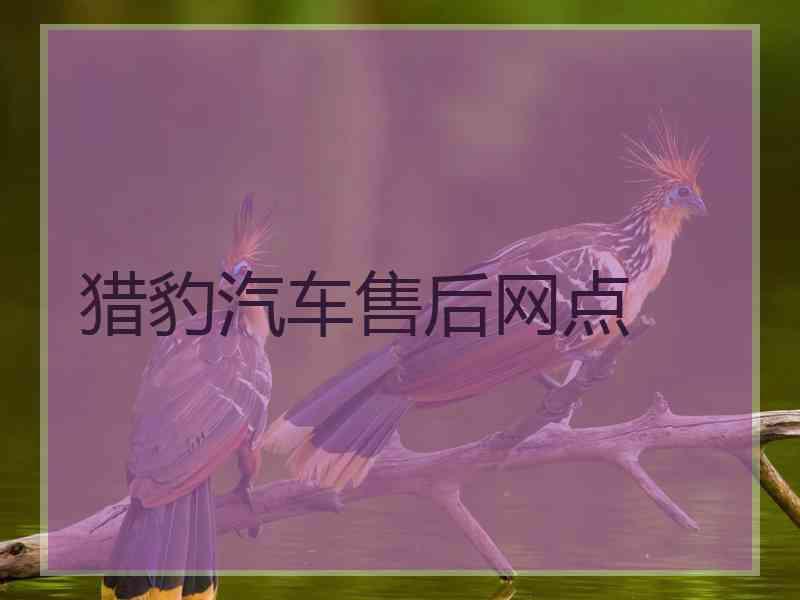 猎豹汽车售后网点