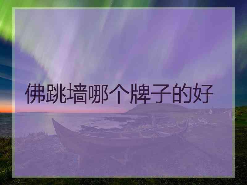 佛跳墙哪个牌子的好