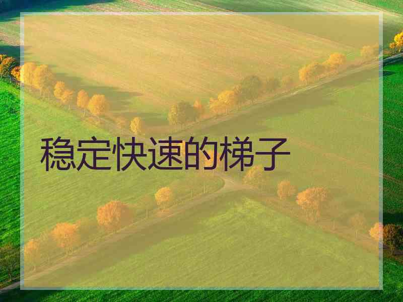 稳定快速的梯子