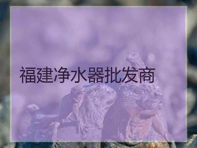 福建净水器批发商