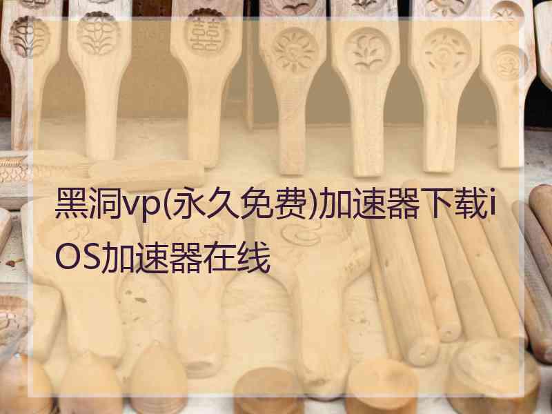 黑洞vp(永久免费)加速器下载iOS加速器在线