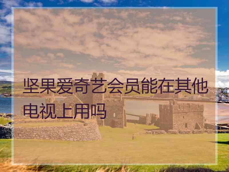 坚果爱奇艺会员能在其他电视上用吗