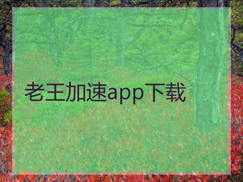 老王加速app下载