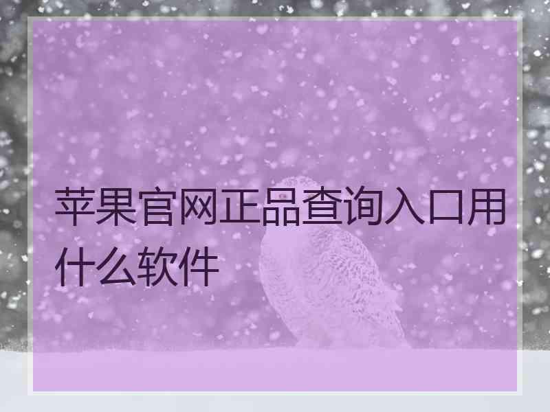 苹果官网正品查询入口用什么软件