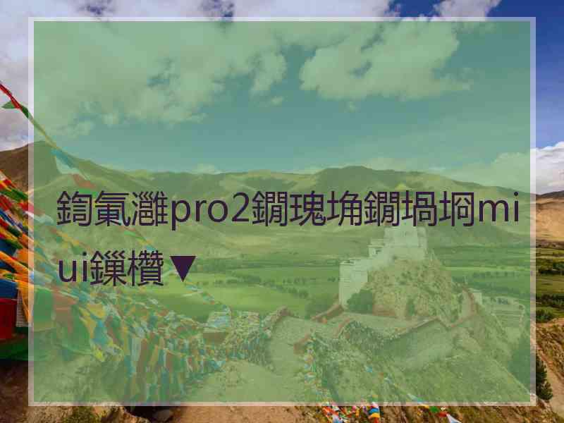 鍧氭灉pro2鐗瑰埆鐗堝埛miui鏁欑▼