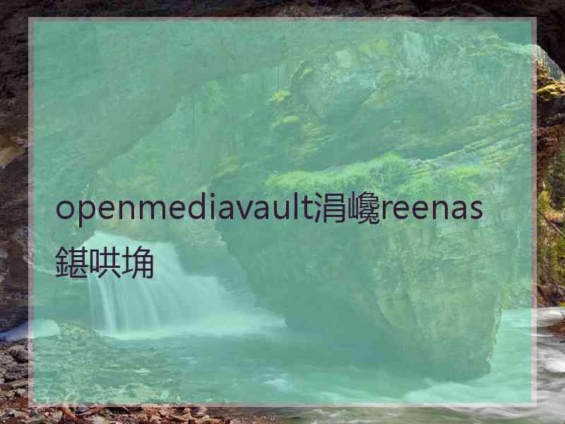 openmediavault涓巉reenas鍖哄埆