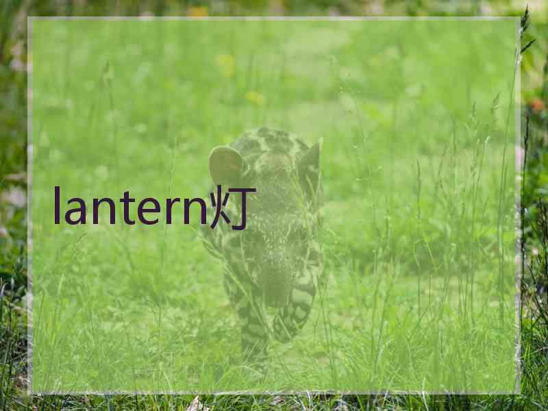 lantern灯