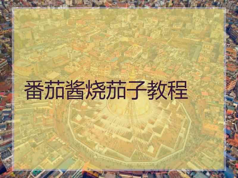 番茄酱烧茄子教程