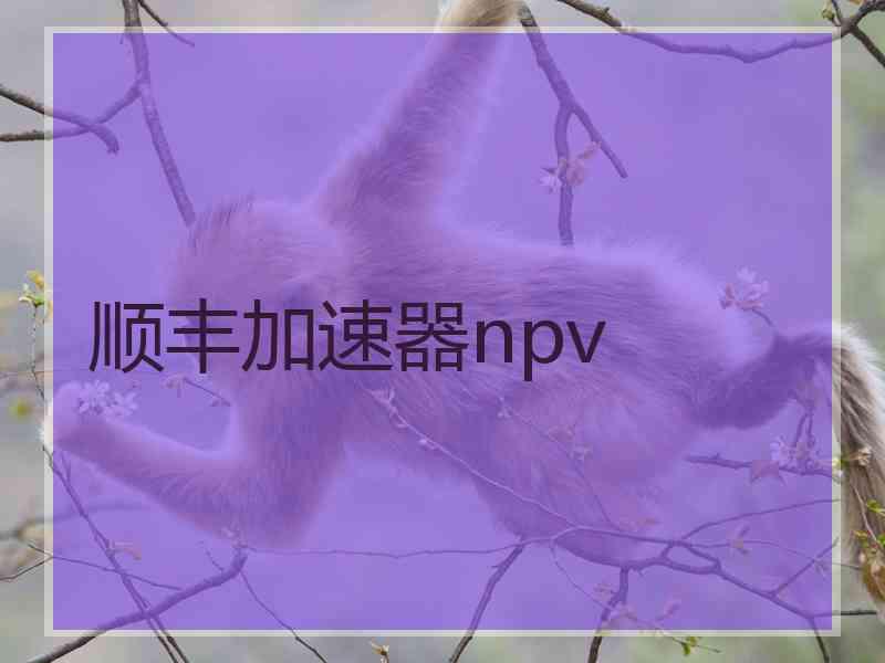 顺丰加速器npv
