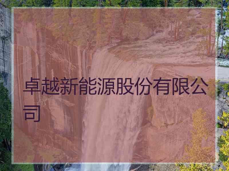 卓越新能源股份有限公司