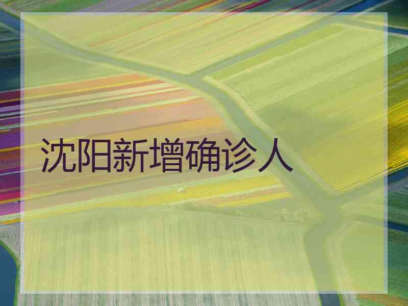 沈阳新增确诊人