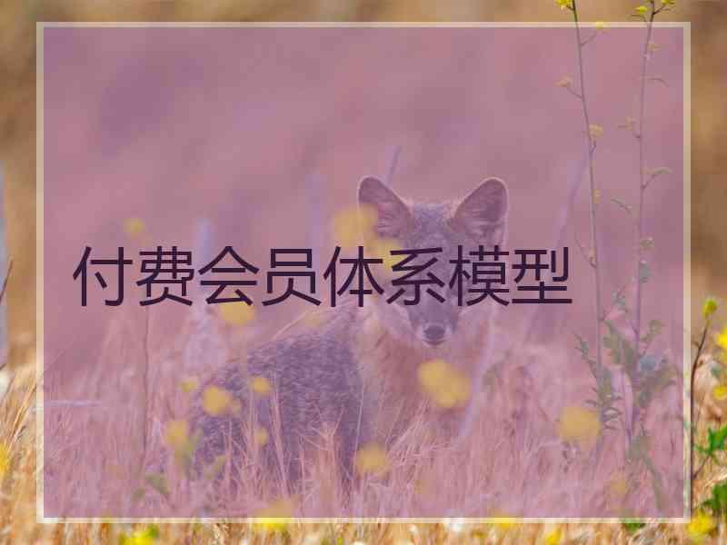 付费会员体系模型