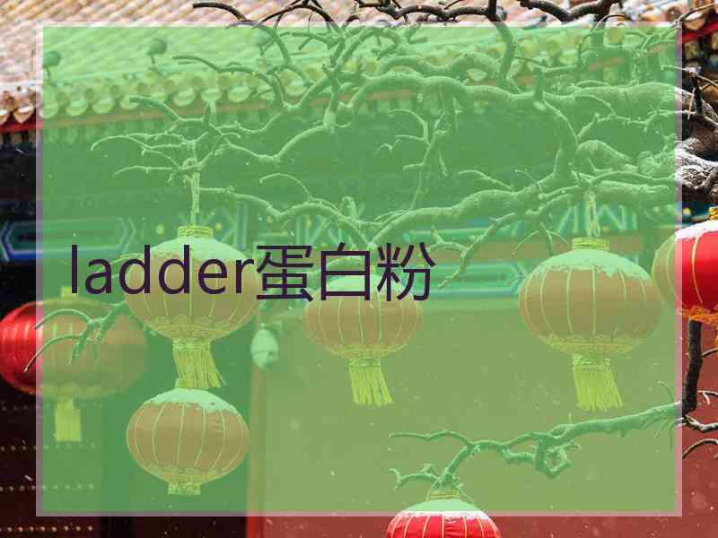 ladder蛋白粉