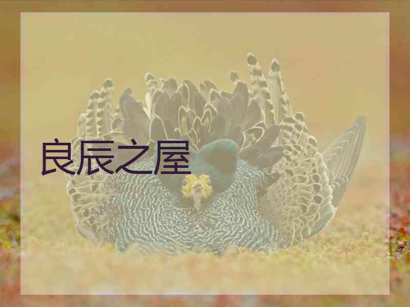 良辰之屋