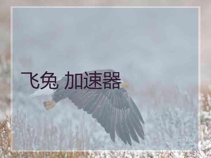 飞兔 加速器