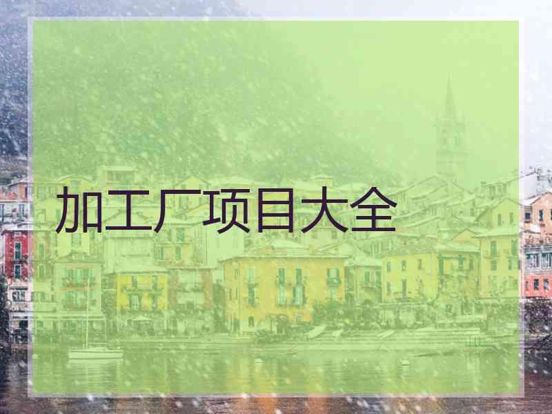 加工厂项目大全