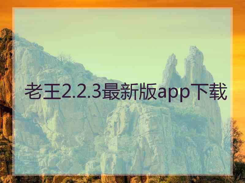 老王2.2.3最新版app下载