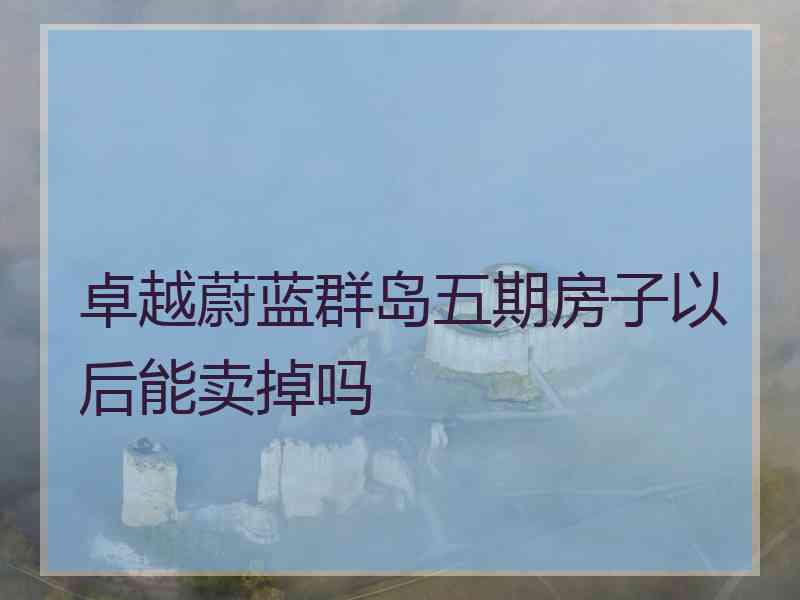 卓越蔚蓝群岛五期房子以后能卖掉吗