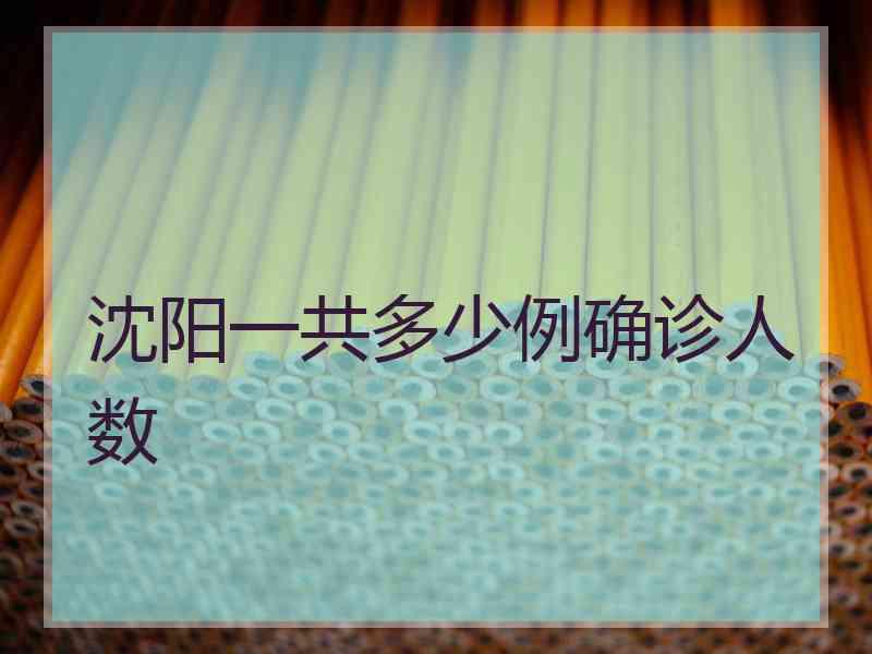 沈阳一共多少例确诊人数