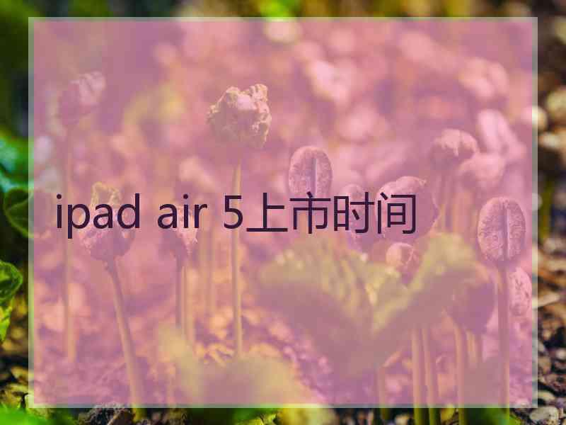 ipad air 5上市时间