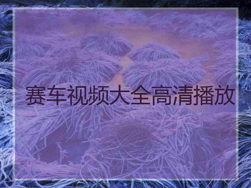 赛车视频大全高清播放