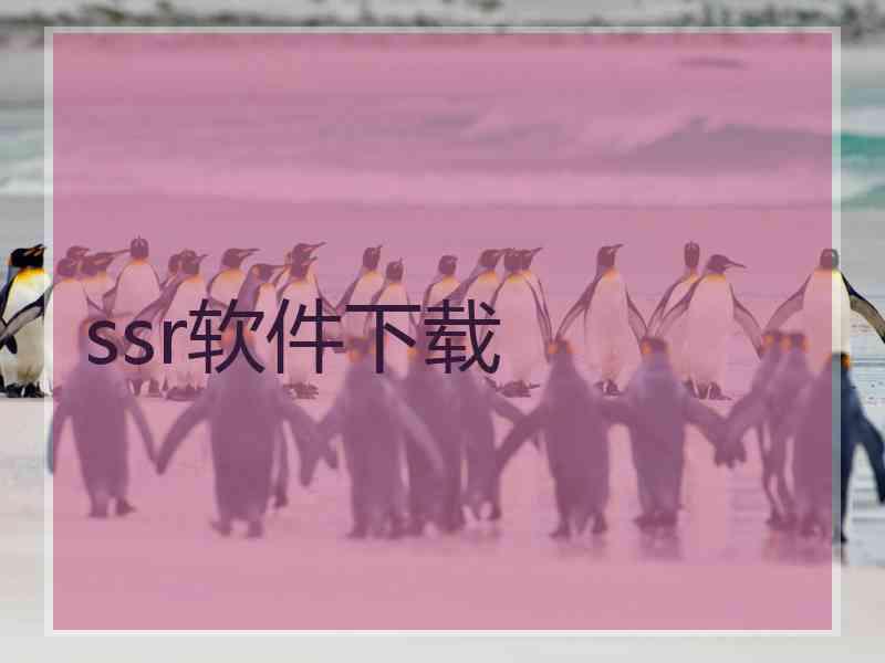 ssr软件下载