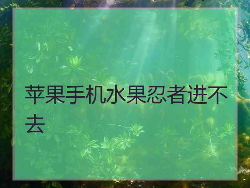 苹果手机水果忍者进不去