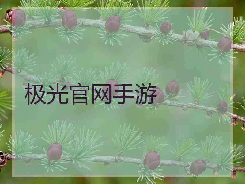 极光官网手游