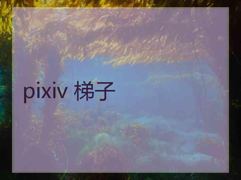 pixiv 梯子