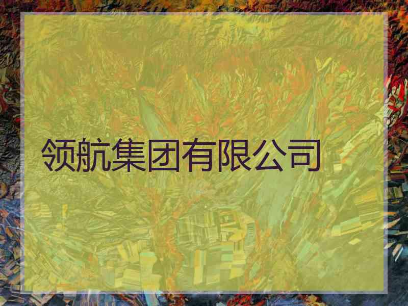 领航集团有限公司