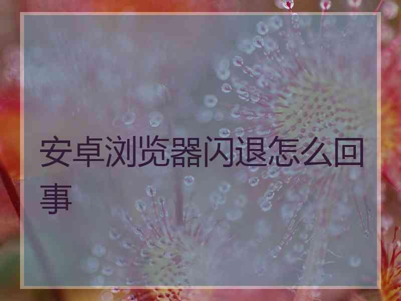 安卓浏览器闪退怎么回事