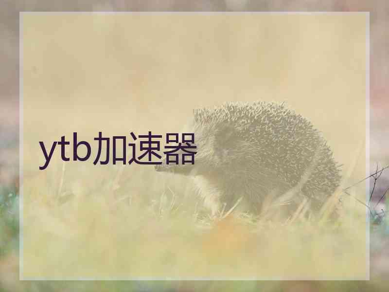 ytb加速器