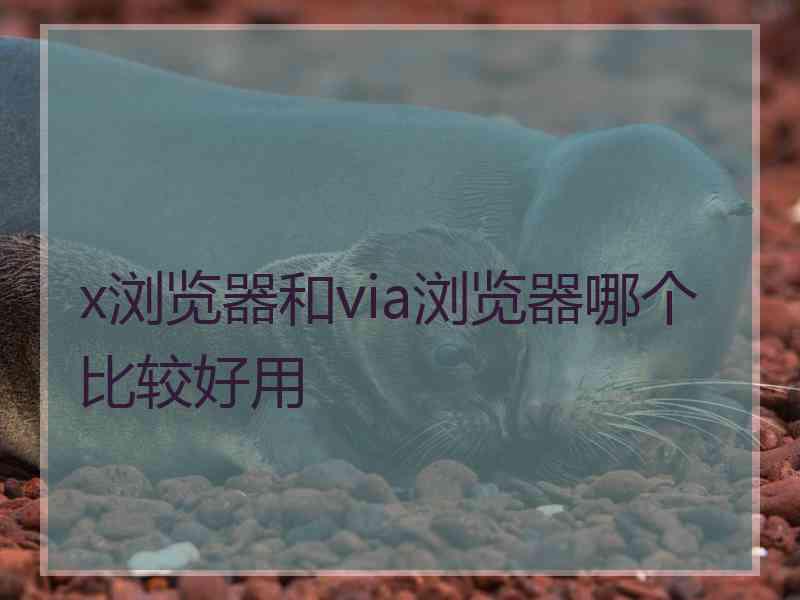 x浏览器和via浏览器哪个比较好用