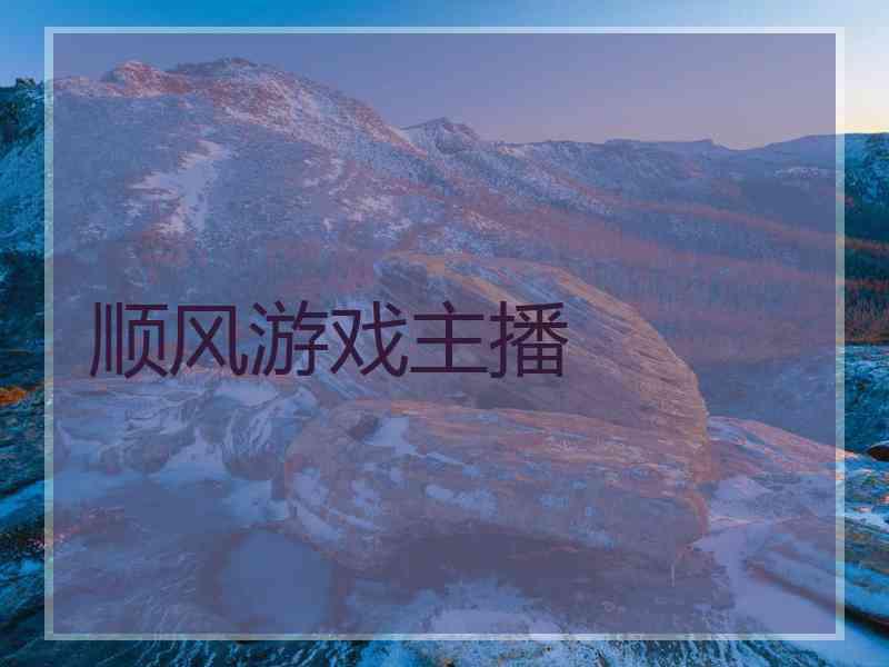 顺风游戏主播