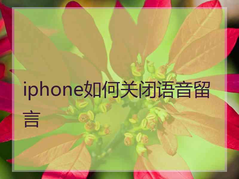 iphone如何关闭语音留言