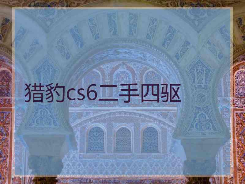 猎豹cs6二手四驱