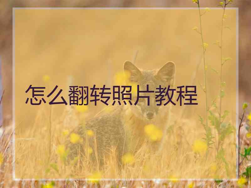怎么翻转照片教程