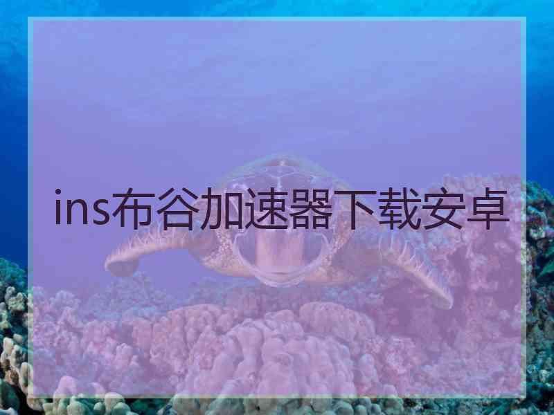 ins布谷加速器下载安卓