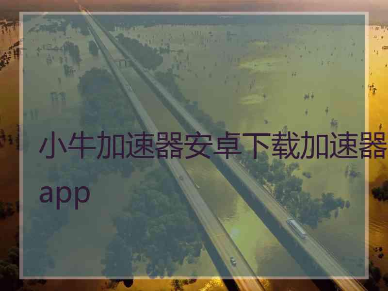 小牛加速器安卓下载加速器app