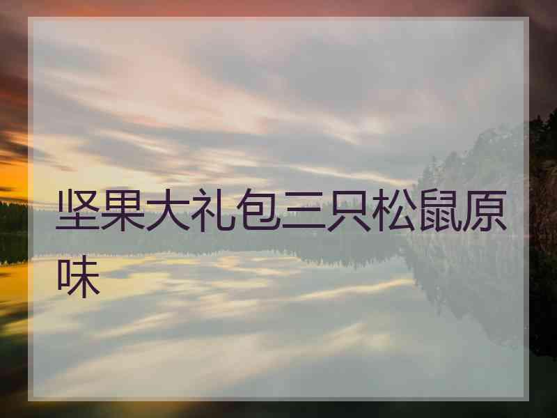 坚果大礼包三只松鼠原味
