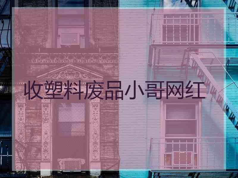 收塑料废品小哥网红