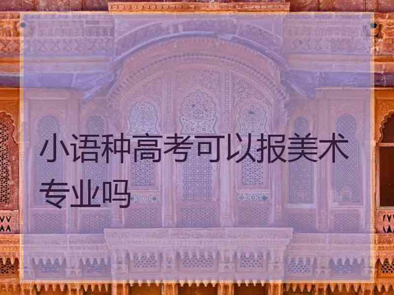 小语种高考可以报美术专业吗