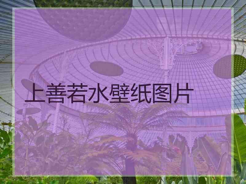 上善若水壁纸图片