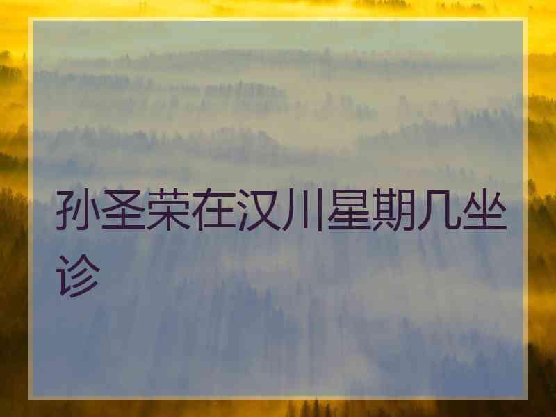 孙圣荣在汉川星期几坐诊
